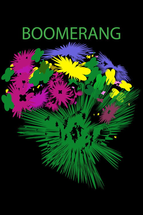 Movie poster for Boomerang (2024)
