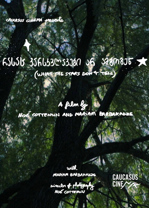 Movie poster for What the Stars Don’t Tell (2025)