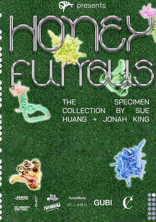 Movie poster for Honey Fungus