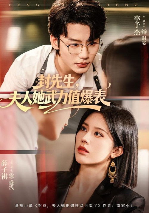 封先生，夫人她武力值爆表 poster