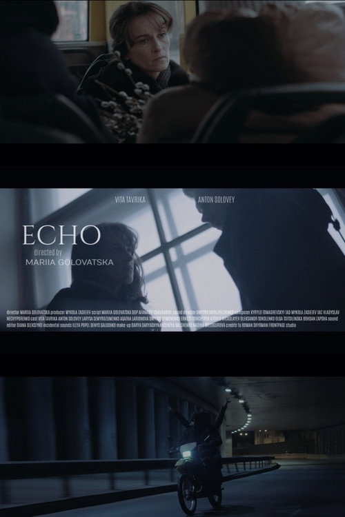 Movie poster for Echo (2019)