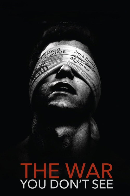 Movie poster for The War You Don't See (2010)