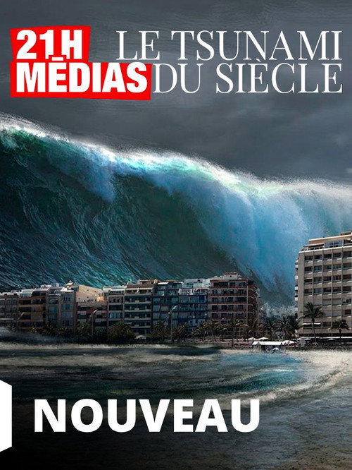 Movie poster for 21H Médias Le Tsunami Du Siècle (2022)