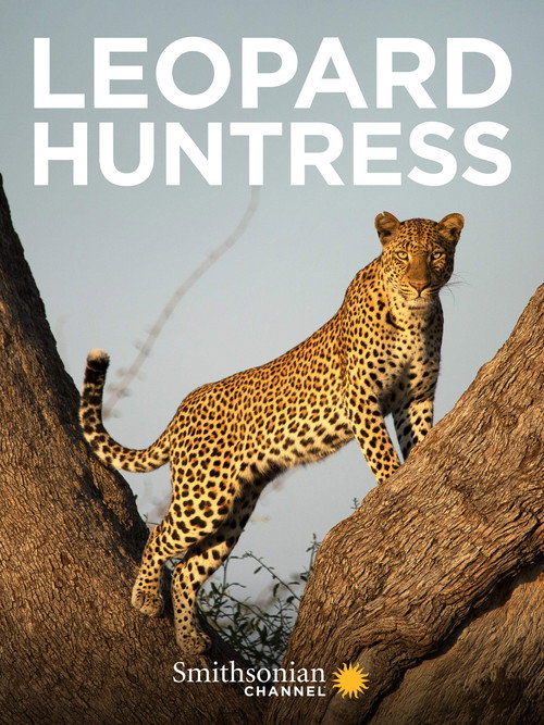 Movie poster for Leopard Huntress (2018)
