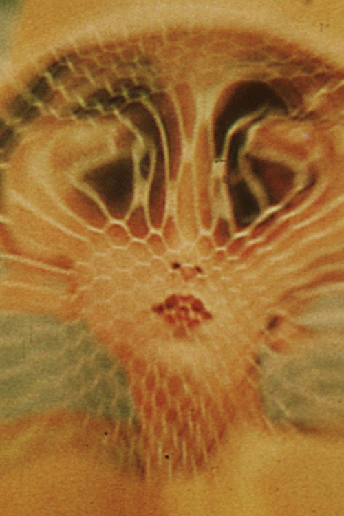 Movie poster for The Great Brain Robbery (1965)