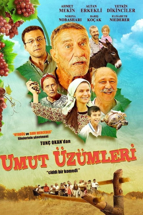 Movie poster for Umut Üzümleri (2013)