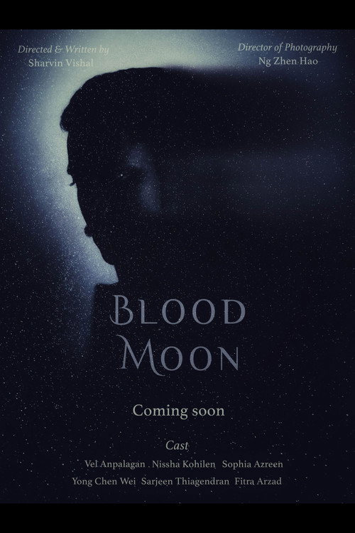 Movie poster for Blood Moon (2025)