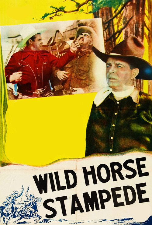 Movie poster for Wild Horse Stampede (1943)