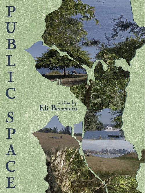 Movie poster for Public Space