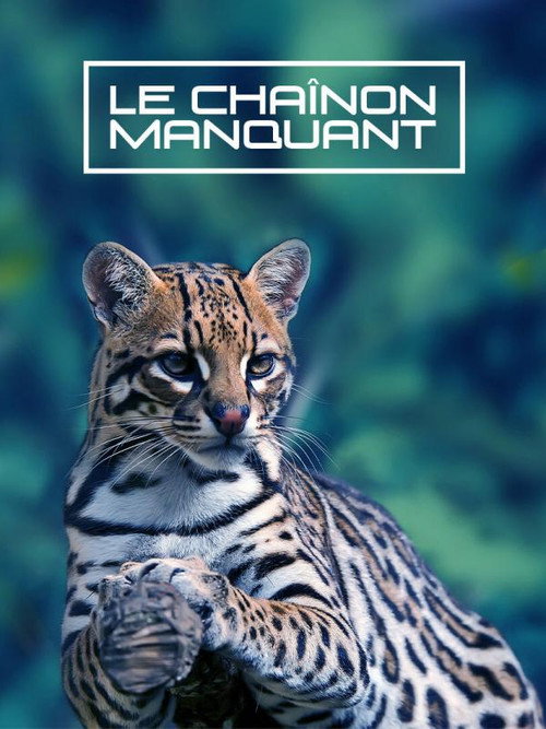 Movie poster for Le Chaînon Manquant (2020)