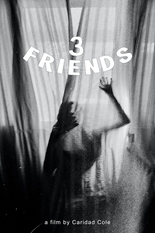 Movie poster for 3 Friends (2015)