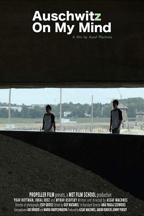Movie poster for Auschwitz on My Mind (2013)