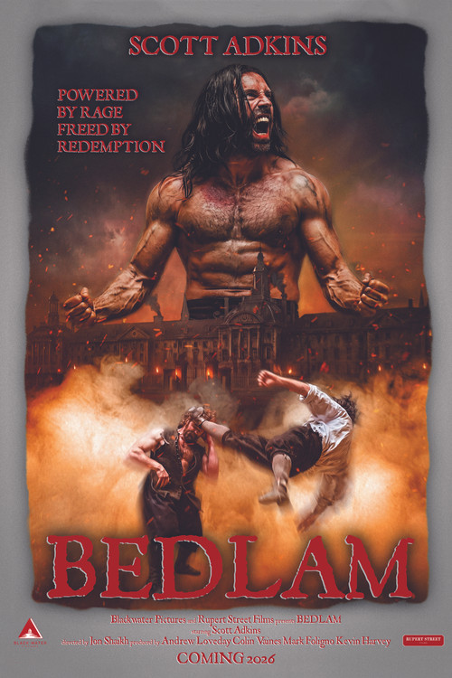 Movie poster for Bedlam