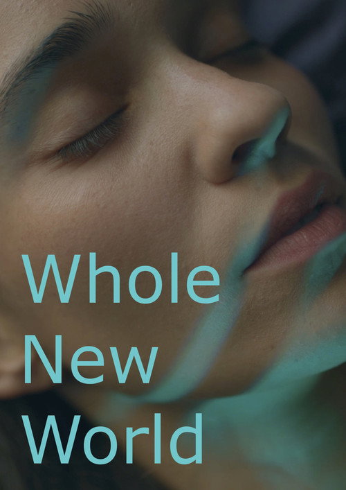 Movie poster for Whole New World (2025)