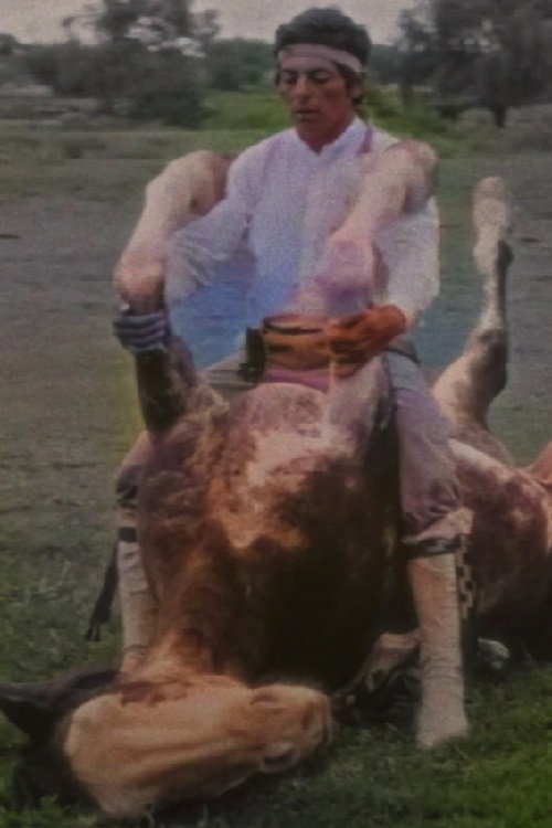 Movie poster for The Rider (2023)