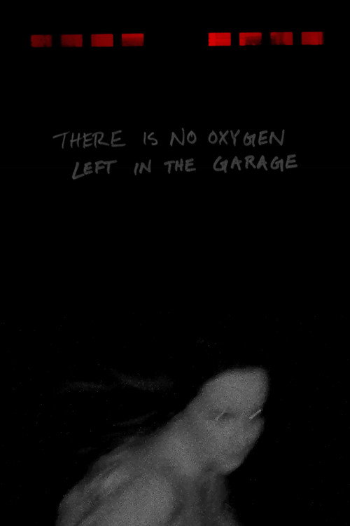 Movie poster for There Is No Oxygen Left In The Garage (2025)