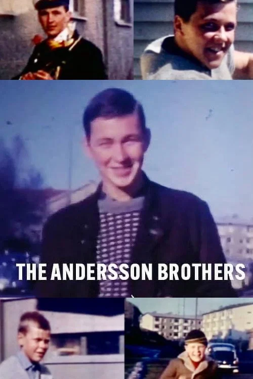Movie poster for The Andersson Brothers (2024)