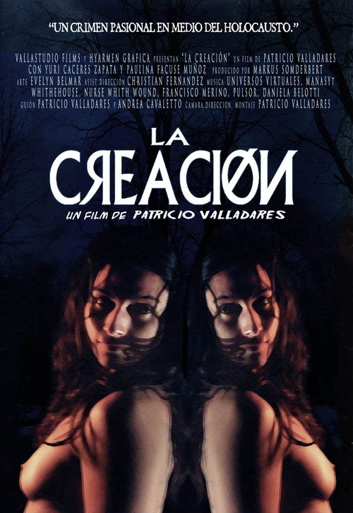 Movie poster for Delirio (2009)