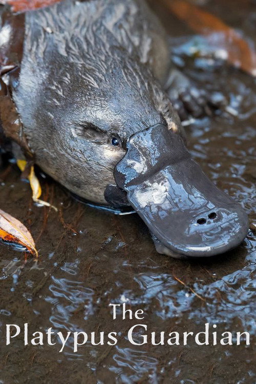 Movie poster for The Platypus Guardian (2023)