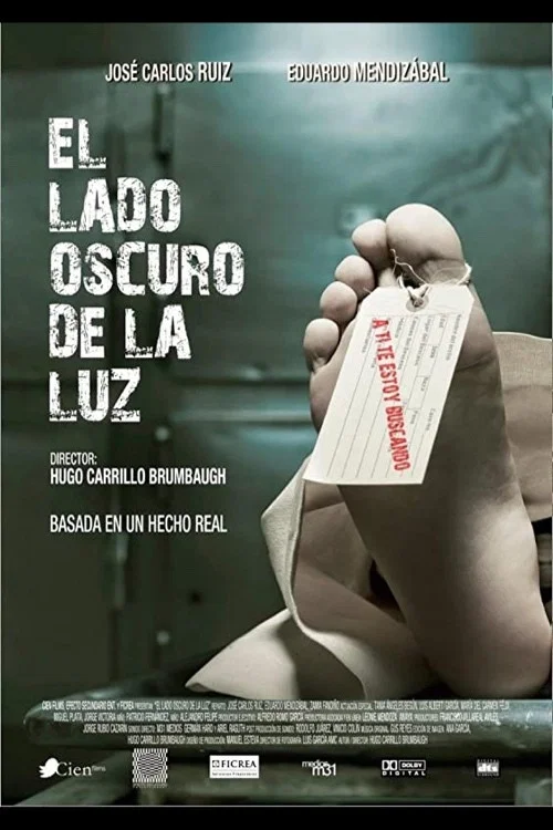 Movie poster for El lado oscuro de la luz (2013)