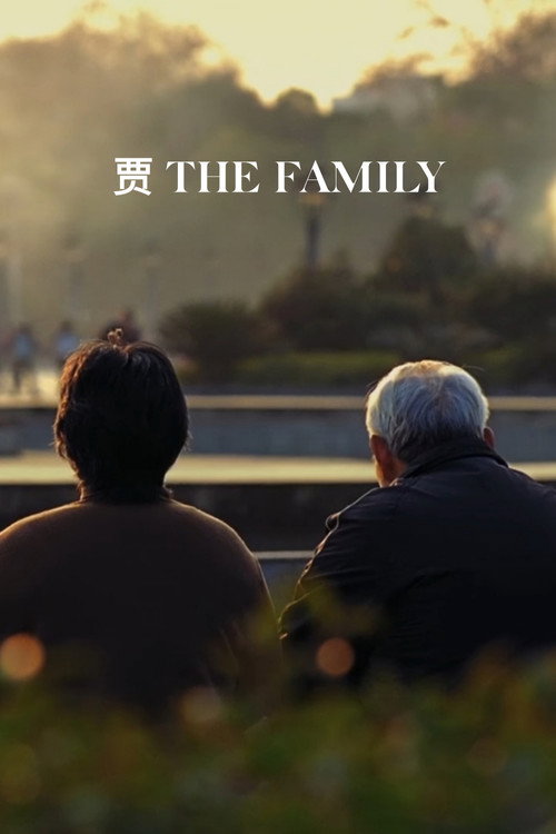 Movie poster for The Family (2015)