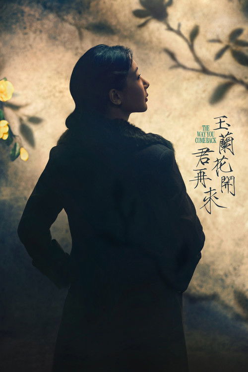 The Way You Come Back poster