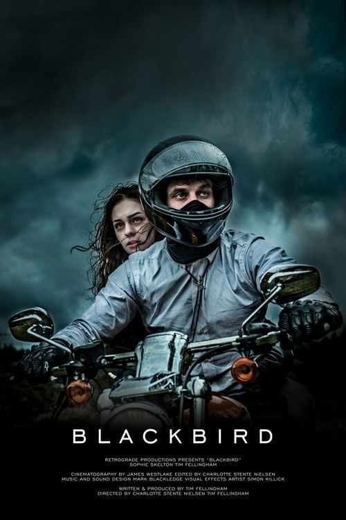 Movie poster for Blackbird (2016)