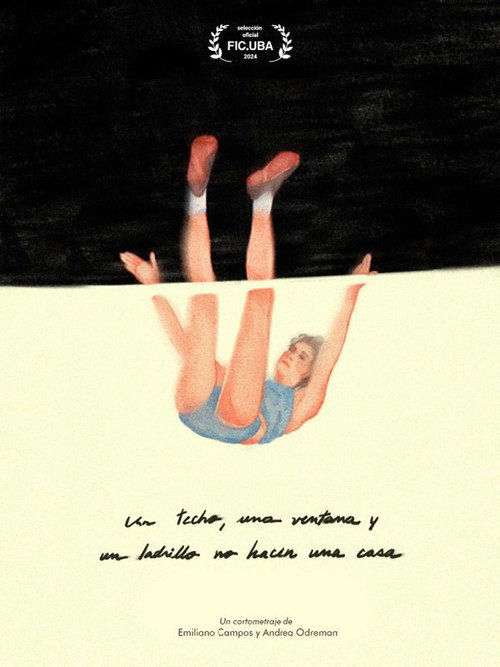 Movie poster for A Roof, a Window and a Brick Do Not Make a Home (2024)