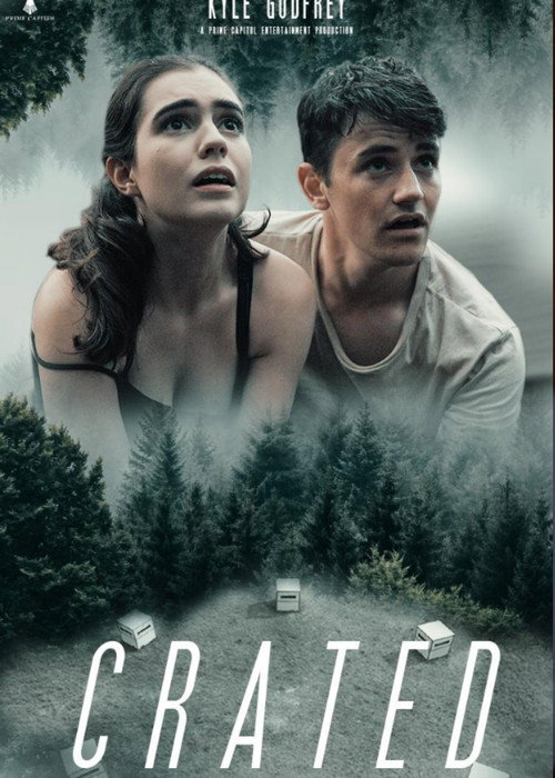Movie poster for Crated (2020)
