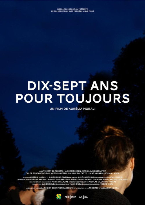 Movie poster for Dix-sept ans pour toujours (2015)