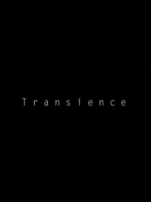 Movie poster for Transience (2013)