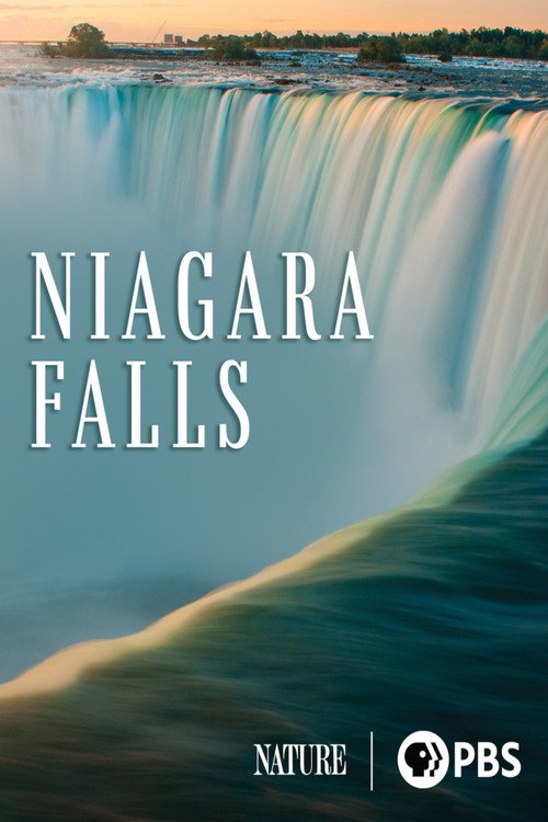 Movie poster for Niagara Falls (2023)