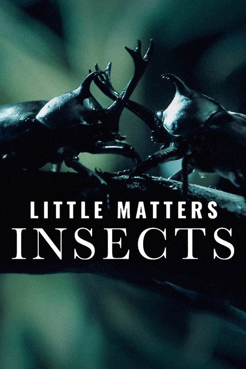 Movie poster for Little Matters: Insects (2015)