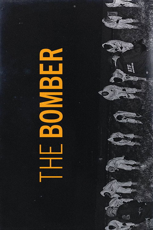 Movie poster for The Bomber (2019)