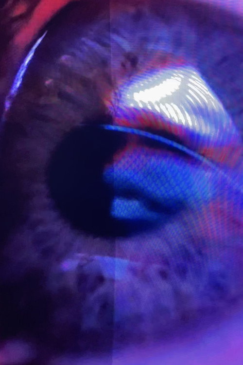 Movie poster for One Glass Eye Melting (2025)