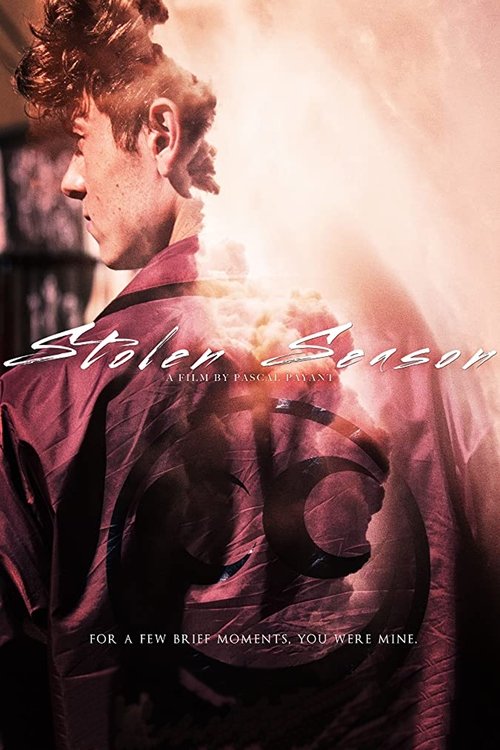 Movie poster for Stolen Season (2020)