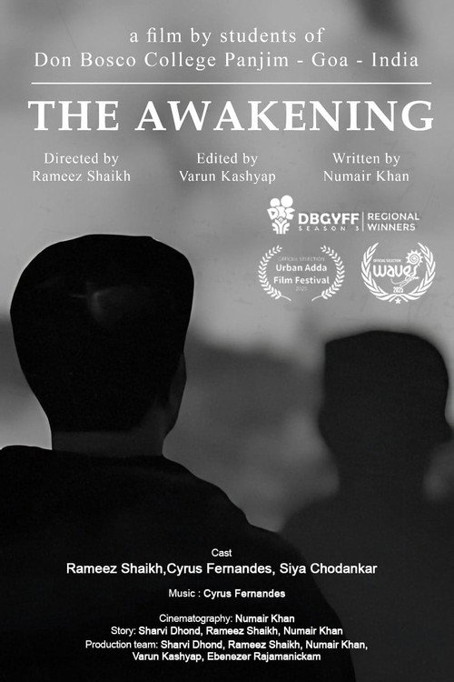 Movie poster for The Awakening