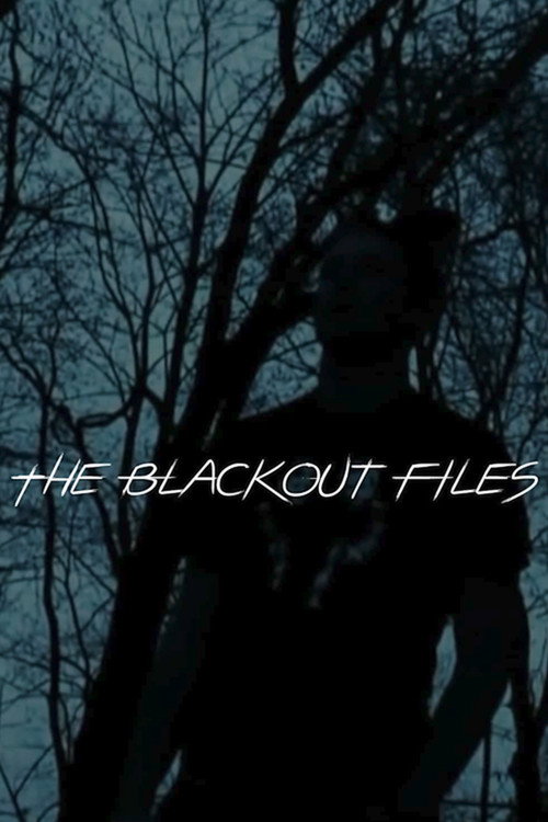 Movie poster for The Blackout Files (2009)