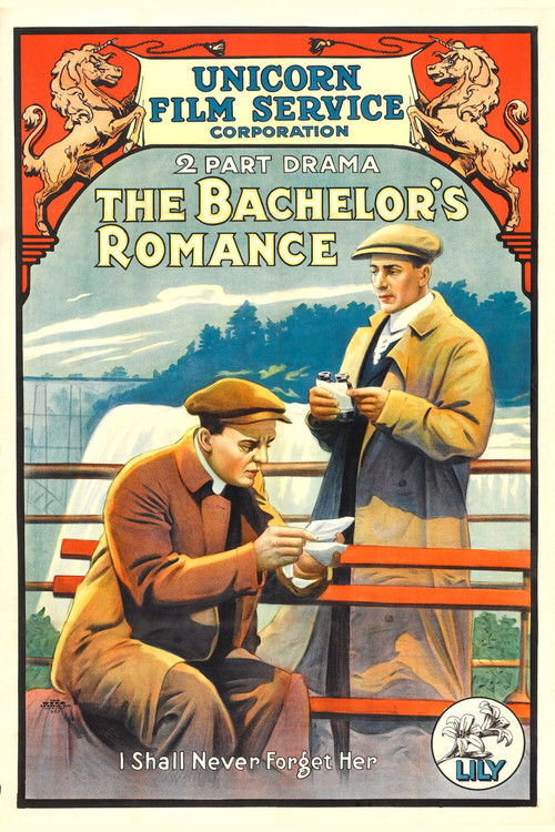 Movie poster for The Bachelor's Romance (1915)