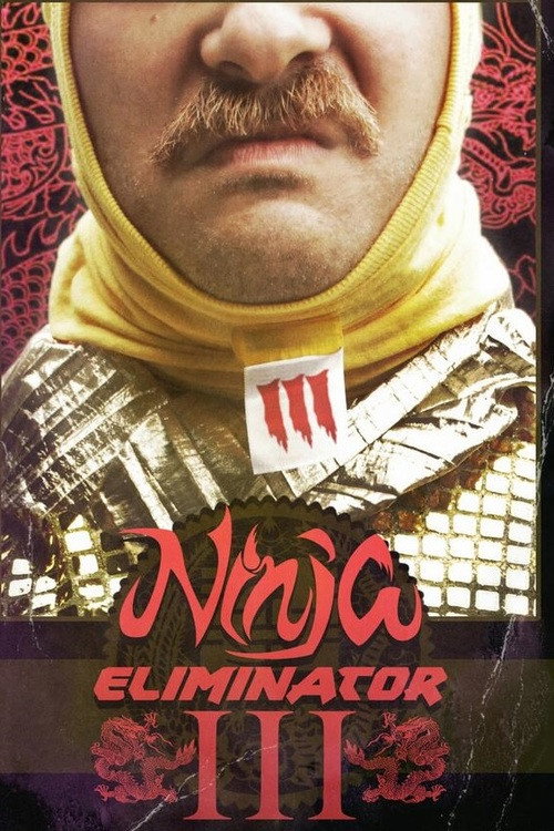 Movie poster for Ninja Eliminator 3: Guardian of the Dragon Medallion (2016)