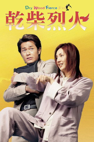 Movie poster for Dry Wood, Fierce Fire (2002)