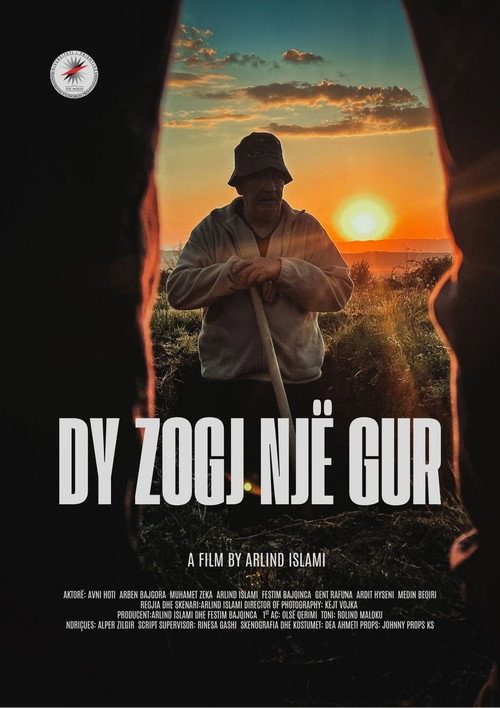 Movie poster for Dy zogj një gur (2025)