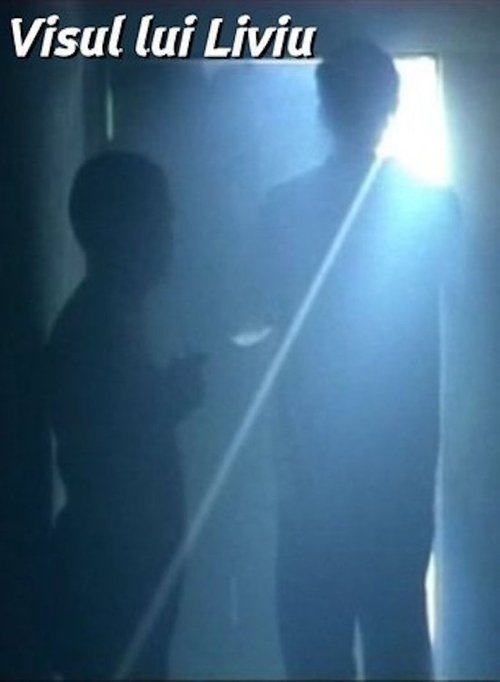 Movie poster for Liviu's Dream (2004)