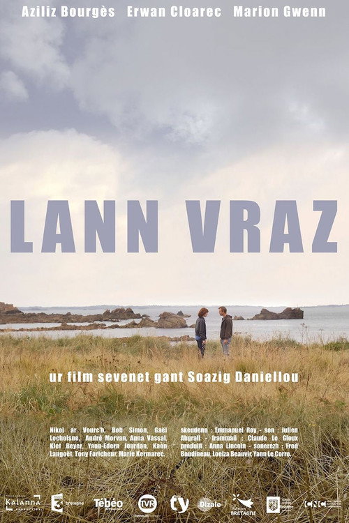 Movie poster for Lann vraz (2013)