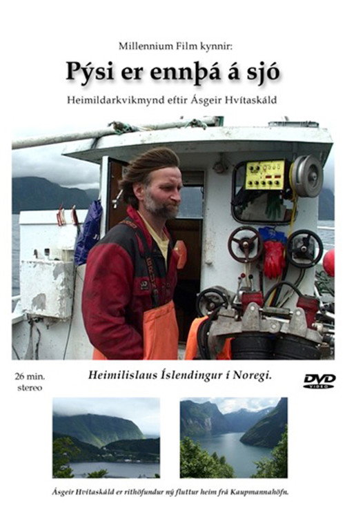 Movie poster for Pýsi er ennþá á sjó (2005)