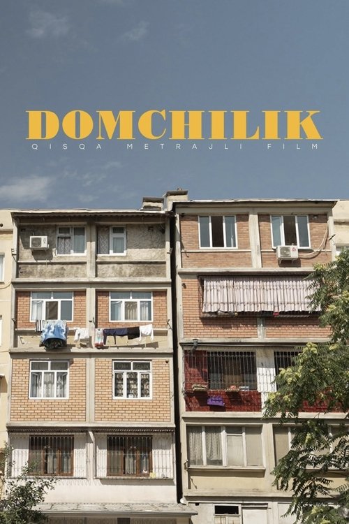 Movie poster for Domchilik (2024)