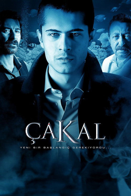 Movie poster for Çakal (2010)
