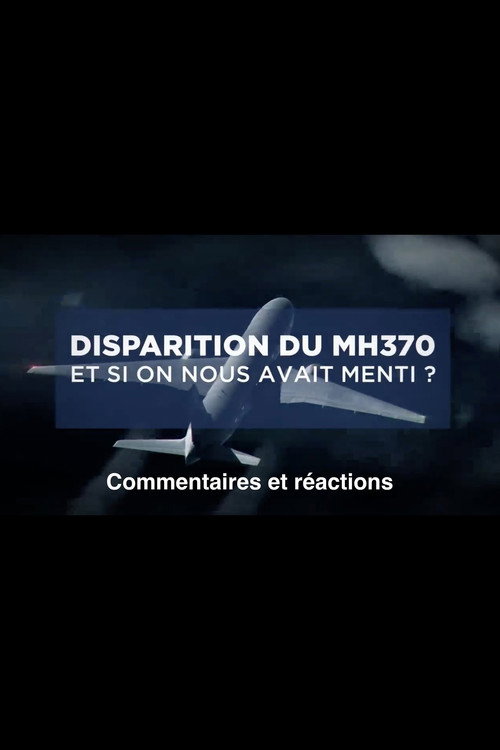Movie poster for Disparition du MH370: Et si on nous avait menti? (2019)