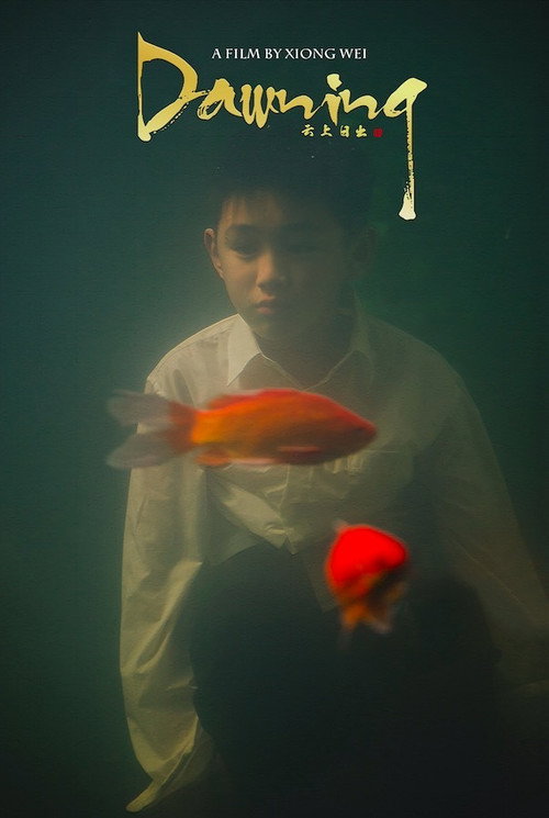 Movie poster for Dawning (2018)
