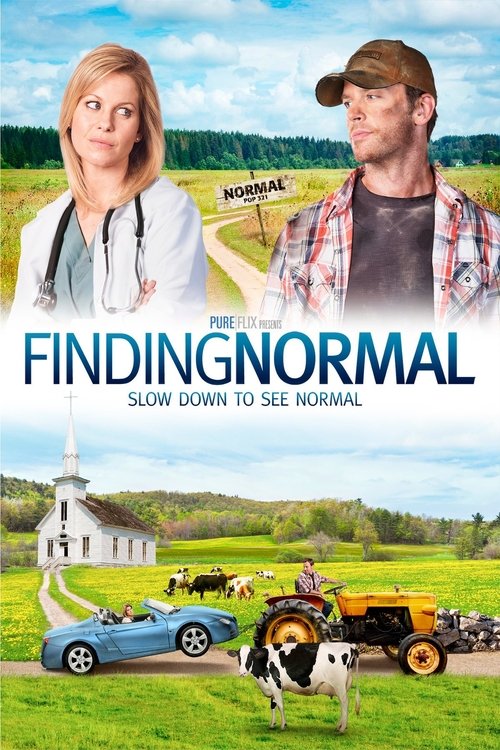 Movie poster for Finding Normal (2013)